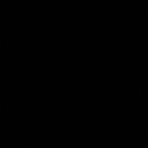 Meet your Posher, Roberto